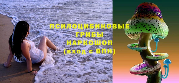винт Алзамай