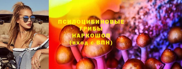 винт Алзамай